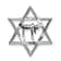 Rhodium Over 14k White Gold Diamond Star of David with Chai Chain Slide Pendant