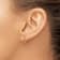 14K Yellow Gold Polished Hoop Earrings