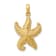 14k Yellow Gold Polished and Textured Open-Backed Starfish Pendant