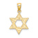 14k Yellow Gold Textured Swirls Star Of David Charm