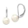 Rhodium Over 14K White Gold 7-8mm Round White Saltwater Akoya Pearl
Leverback Earrings