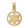 14k Yellow Gold Textured Star of David in Circle Frame Pendant