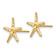 14k Yellow Gold 11mm Textured Starfish Stud Earrings
