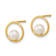 14k Yellow Gold Open Circle 5mm Freshwater Cultured Pearl Stud Earrings