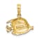 14k Yellow Gold Polished and Textured Fish Charm