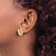 14k Yellow Gold 2D Textured Conch Shell Stud Earrings