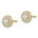 14K Yellow Gold Cubic Zirconia Circle Post Earrings