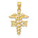 14k Yellow Gold Diamond-Cut, Textured and Polished RN Nurse Pendant