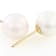 White Cultured Japanese Akoya Pearl 14k Yellow Gold Earrings