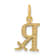 14k Yellow Gold Prescription Symbol RX Pendant
