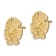 14K Yellow Gold Textured Sand Dollar Stud Earrings