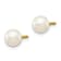 14K Yellow Gold 5-6mm White Near Round Freshwater Cultured Pearl Post Earrings