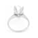Lab-Grown Diamond Pear Shape Solitaire Ring In 14K White Gold 5.00ct
