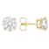 Lab-Grown Diamond Stud Earrings In 14K Gold 5.00ctw