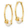 14K Yellow Gold 5-6mm White Semi-round Freshwater Cultured Pearl
Polished Hoop Earrings
