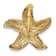 14k Yellow Gold Polished and Textured Starfish Slide Charm