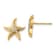 14K Yellow Gold and Rhodium Over 14K Yellow Gold 11.9mm Diamond-Cut
Starfish Stud Earrings