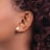 14K Yellow Gold 7-7.5mm White Round Freshwater Cultured Pearl Garnet
Post Earrings