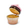 BERRIES 'N CRÈME Chocolate Cupcake Trinket Box