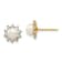 14K Yellow Gold Children's 5-6mm White Freshwater Cultured Pearl and
Cubic Zirconia Stud Earrings
