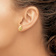 14k Yellow Gold 12mm Sand Dollar Stud Earrings