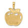 14k Yellow Gold Textured New York City Skyline in Apple Pendant