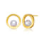 Freshwater Pearl Stud Earrings In 14K Gold Over Sterling Silver