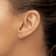 14k Yellow Gold 4mm Cubic Zirconia March Birthstone Stud Earrings