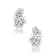 Marquise CZ Cluster Stud Earrings In Sterling Silver