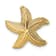 14k Yellow Gold Polished and Textured Starfish Slide Charm