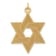 14k Yellow Gold Laser Designed and Satin Star of David Pendant
