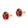14k Yellow Gold Polished Enameled Small Ladybug Stud Earrings
