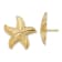 14k Yellow Gold Textured Starfish Stud Earrings