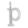 14K White Gold Diamond Lower Case Letter P Initial Pendant