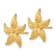 14K Yellow Gold Textured Starfish Stud Earrings