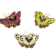 3 Pack Gold Tone White, Yellow and Pink Enamel Butterfly Earrings
