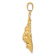 14k Yellow Gold Textured Lion Charm