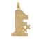 14K Yellow Gold Number 1 DAD Charm