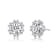 Halo Stud Earrings In Rhodium Over Brass
