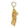 14k Yellow Gold 2D Textured Bass Fish Jumping Charm