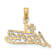 10K Yellow Gold Textured Number 1 NANA Script Charm
