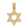 14k Yellow Gold Textured Swirls Star Of David Charm