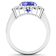 4.22ctw Violet Tanzanite and Diamond 14K White Gold Halo Ring