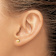 14k Yellow Gold Polished and Diamond-Cut 4.5mm Button Earrings