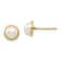 14k Yellow Gold 5-6mm White Button Freshwater Cultured Pearl Stud Earrings