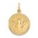 14k Yellow Gold Textured Confirmation with Dove Medal Pendant
