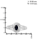 Black Sapphire Rhodium Over Sterling Silver Ring 0.25ctw