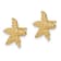 14k Yellow Gold Textured Starfish Stud Earrings