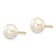 10k Yellow Gold 6-7mm White Button Freshwater Cultured Pearl Stud Earrings