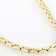 Cardano Chain Necklace 18K Gold Over Bronze